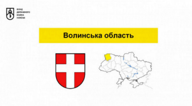 Мала приватизація: на Волині відбудеться чотири онлайн-аукціони