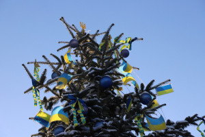 Без ілюмінацій, без трати бюджетних коштів, та з власноруч зробленими прикрасами: як на Волині оздобили новорічні ялинки - Фото 1